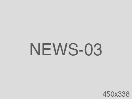 [新闻标题占位 03]